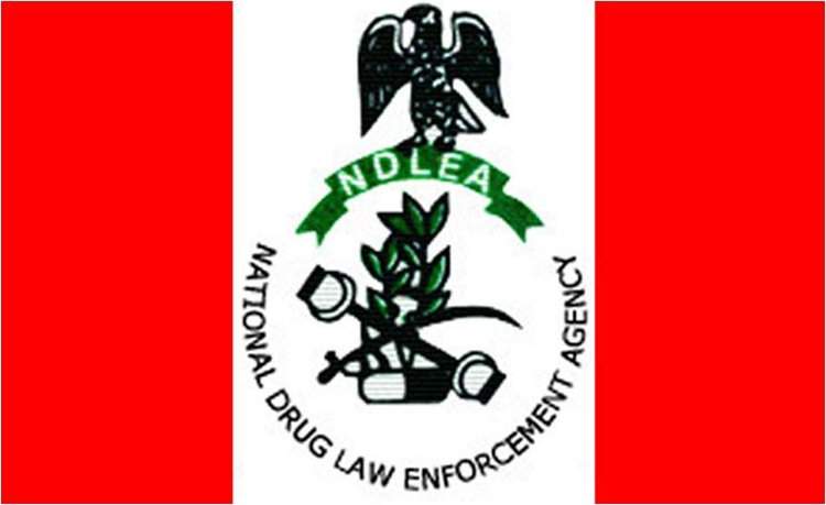 FG Orders Universities, Polytechnics to Begin Drug Testing for  Students